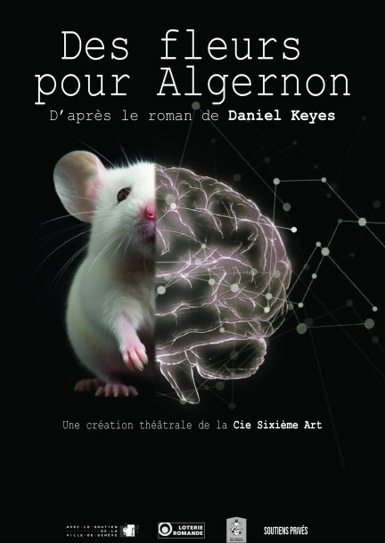Affiche Des fleurs pour Algernon